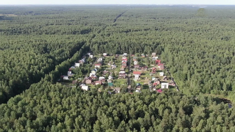 Ликвидация без компенсации: дачи в опасной зоне приговорили к сносу