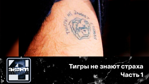 Тигры не знают страха. Часть 1