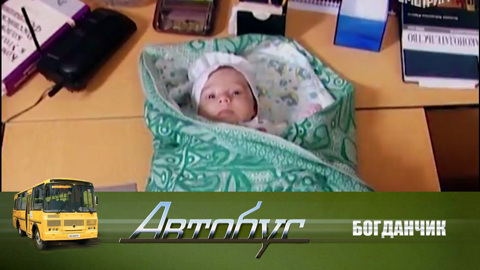Богданчик