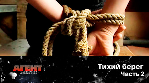 Тихий берег. Часть 2