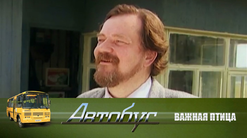 Важная птица
