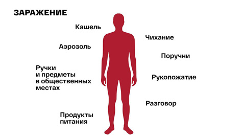 Три пути заражения коронавирусом