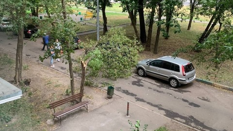 В Москве и Подмосковье объявлен желтый уровень опасности из-за ветра