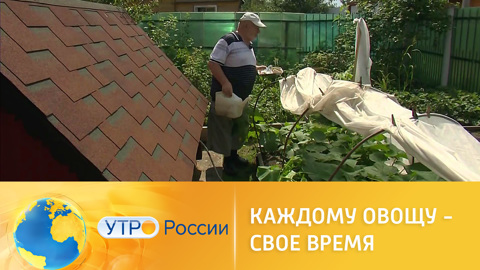 Поздние посадки: каждому овощу – свое время