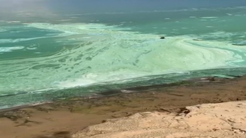 "Как крапивный суп": чем опасно цветение водорослей в Чебоксарах