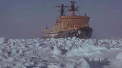 1977 год