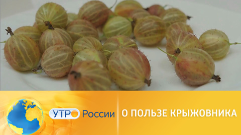Чем полезен крыжовник для здоровья