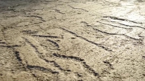 Карельские петроглифы признали объектом всемирного наследия ЮНЕСКО