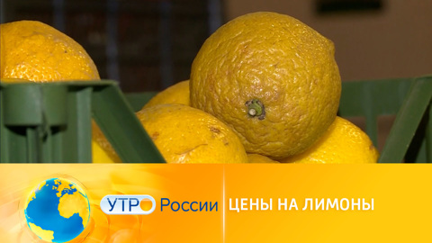 Росстат: лимоны стали самым подешевевшим продуктом в 2021 году