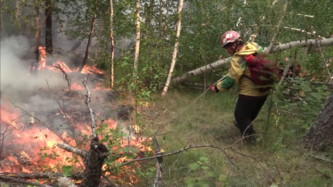 Пожар в Мордовском заповеднике подобрался к ядерному центру в Сарове