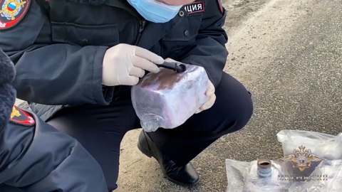По стопам Пабло Эскобара: в Колумбии поймали россиянина-наркобарона