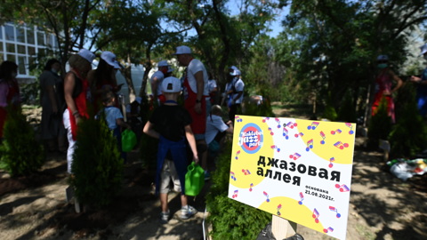 "Джазовая аллея" кипарисов появилась в Коктебеле