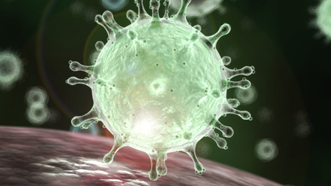 За время пандемии от коронавируса в мире умерли 9 тысяч детей