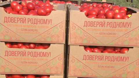 Урожай вырос благодаря поддержке государства и современным технологиям