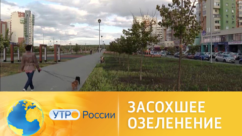 Проблемы озеленения больших городов