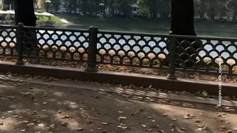 Бабье лето вернется в Москву в последние дни сентября