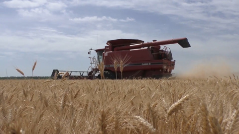Продажа земли, перевод Пушкина на украинский