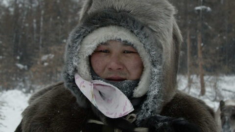 Король леса (фрагмент)