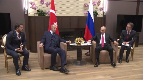 Путин проводит в Сочи встречу с президентом Турции