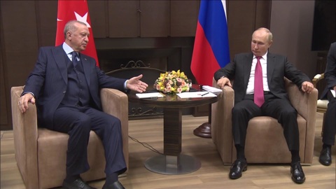 Путин: сотрудничество РФ и Турции будет помогать развитию экономики и туризма