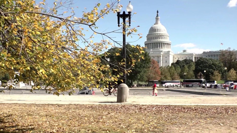 "Черная пятница" в США стала мрачной