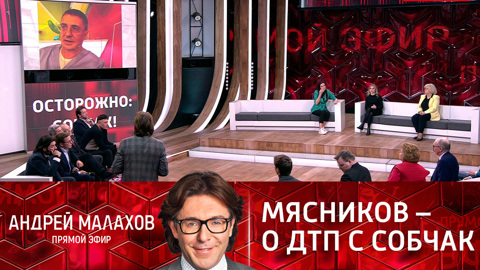 "Много ли она помогла бы?": Мясников – о ДТП с участием Собчак