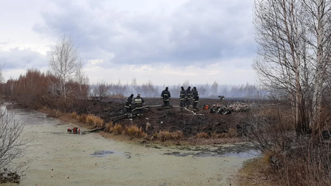 Число очагов пожаров с торфяниками в Екатеринбурге уменьшилось до 12