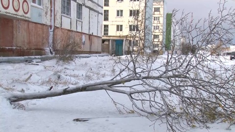 Энергоснабжение населенных пунктов на Сахалине полностью восстановлено