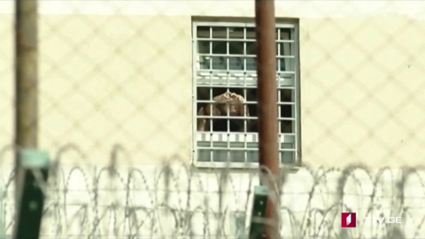 Аферист и симулянт: есть ли у Саакашвили шанс выйти из тюрьмы