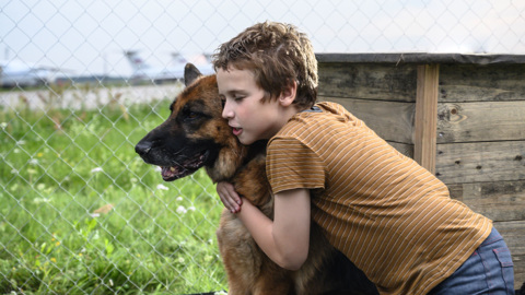 Проекты ВГТРК стали лауреатами премии "ТЭФИ-Kids"