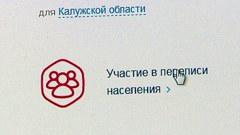 Сроки онлайн-переписи россиян через "Госуслуги" продлены до 14 ноября