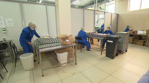 Умный алгоритм подскажет бизнесменам зарубежные рынки сбыта