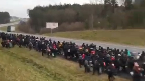 Погранохрана Польши предотвратила массовую попытку нелегального пересечения границы
