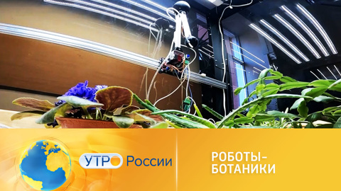 Роботы-ботаники облегчат жизнь дачникам