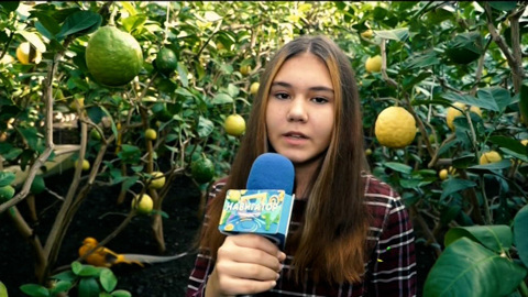 Эфир от 22.11.2021