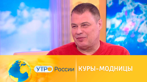 Для чего выводят разные породы кур