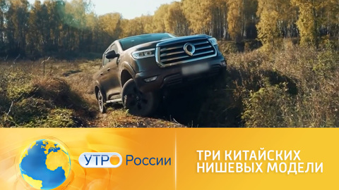 Три китайских нишевых модели