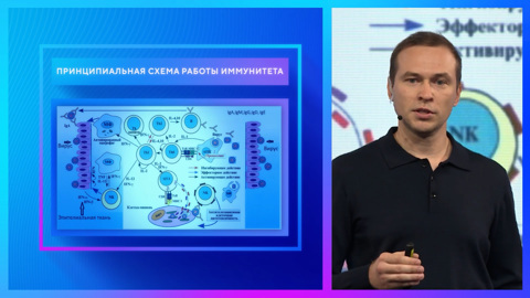 Космический иммунитет