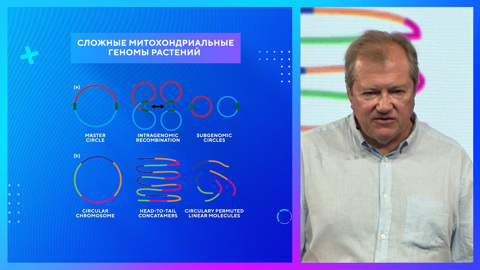 Генетический код леса