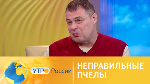 Неправильные пчелы