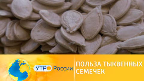 Во время пандемии россияне стали есть больше семечек