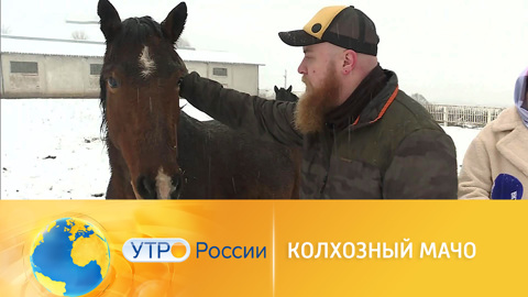 Колхозный мачо или "начинающая деревенщина": история одного фермера