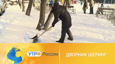 Снежный помощник: жители городов взяли в руки лопаты