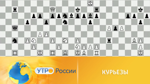 О самом необычном и курьезном