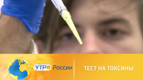Проверка продуктов на токсины