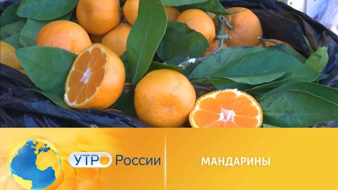Как выбрать мандарины к праздничному столу