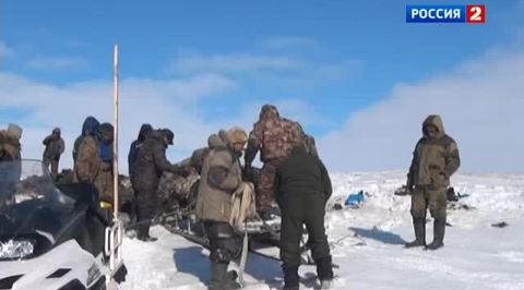 Мамонт охлажден, но не заморожен