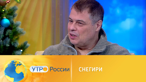 Снегири – символ русской зимы