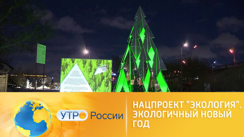 Нацпроект "Экология". Экоелка: акции в поддержку экологичного Нового года