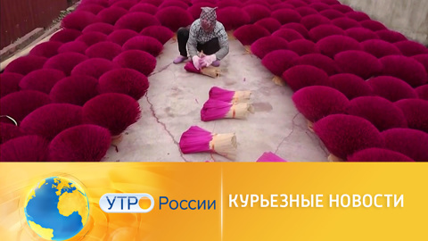 Розовые улицы, необычный кофе и другие курьезные новости недели